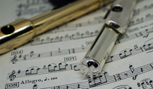 Butterfly Flute Crowns for concert flutes