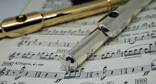 Butterfly Flute Crowns for concert flutes